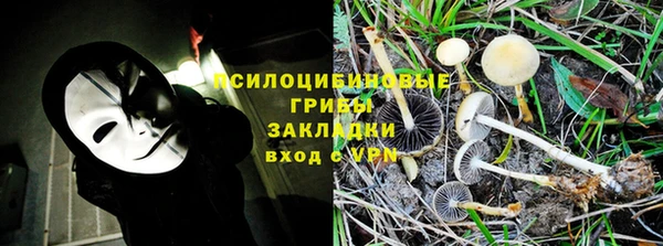 мескалин Богданович