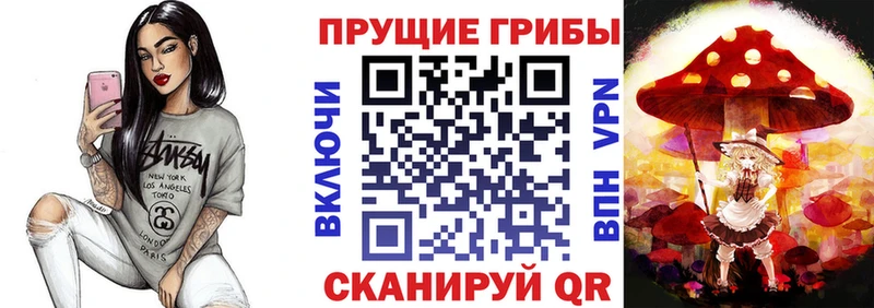 закладки  Бологое  Псилоцибиновые грибы прущие грибы 